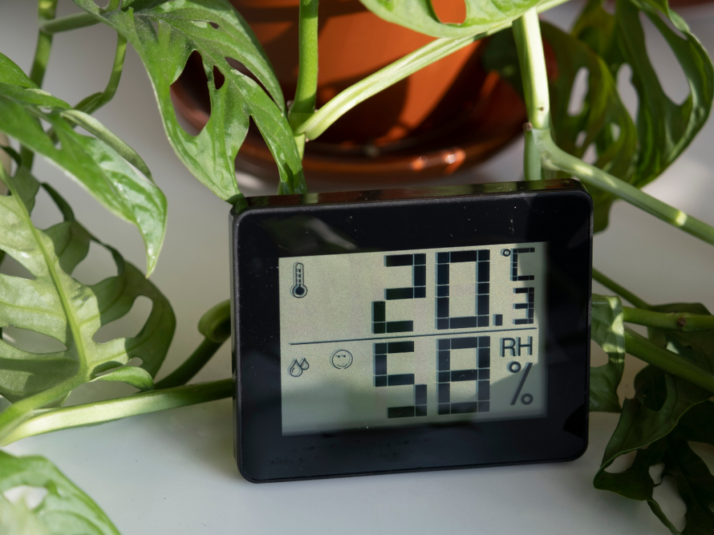 Jaka jest optymalna temperatura i wilgotność w domu?
