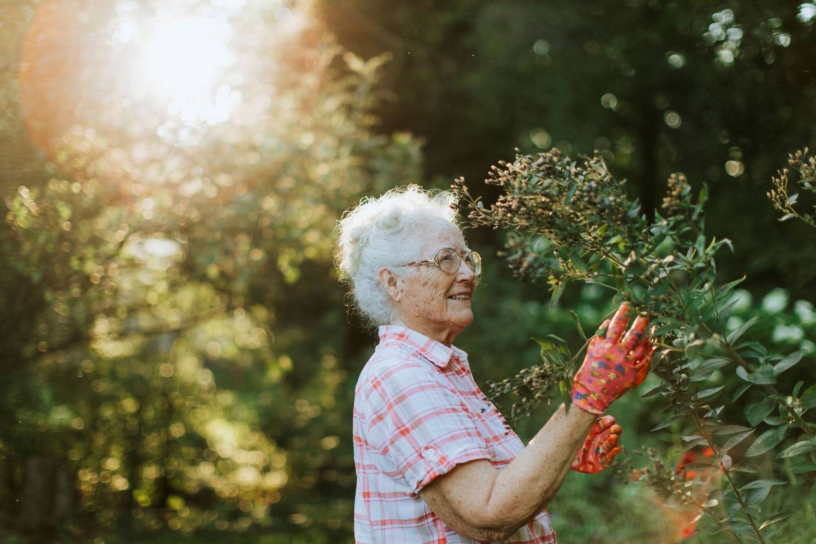 senior-woman-tending-flowers-her-garden.jpg